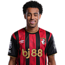 afc-bournemouth-tyler-adams-1