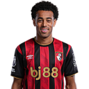 afc-bournemouth-tyler-adams-1