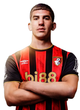 afc-bournemouth-veljko-milosavljevic