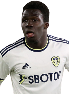 leeds-united-wilfried-gnonto